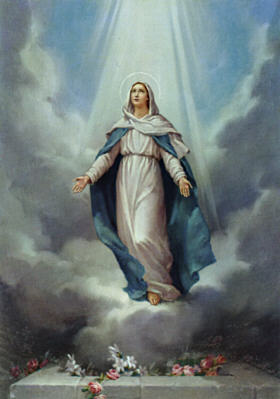 Image 14