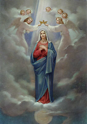 Image 15