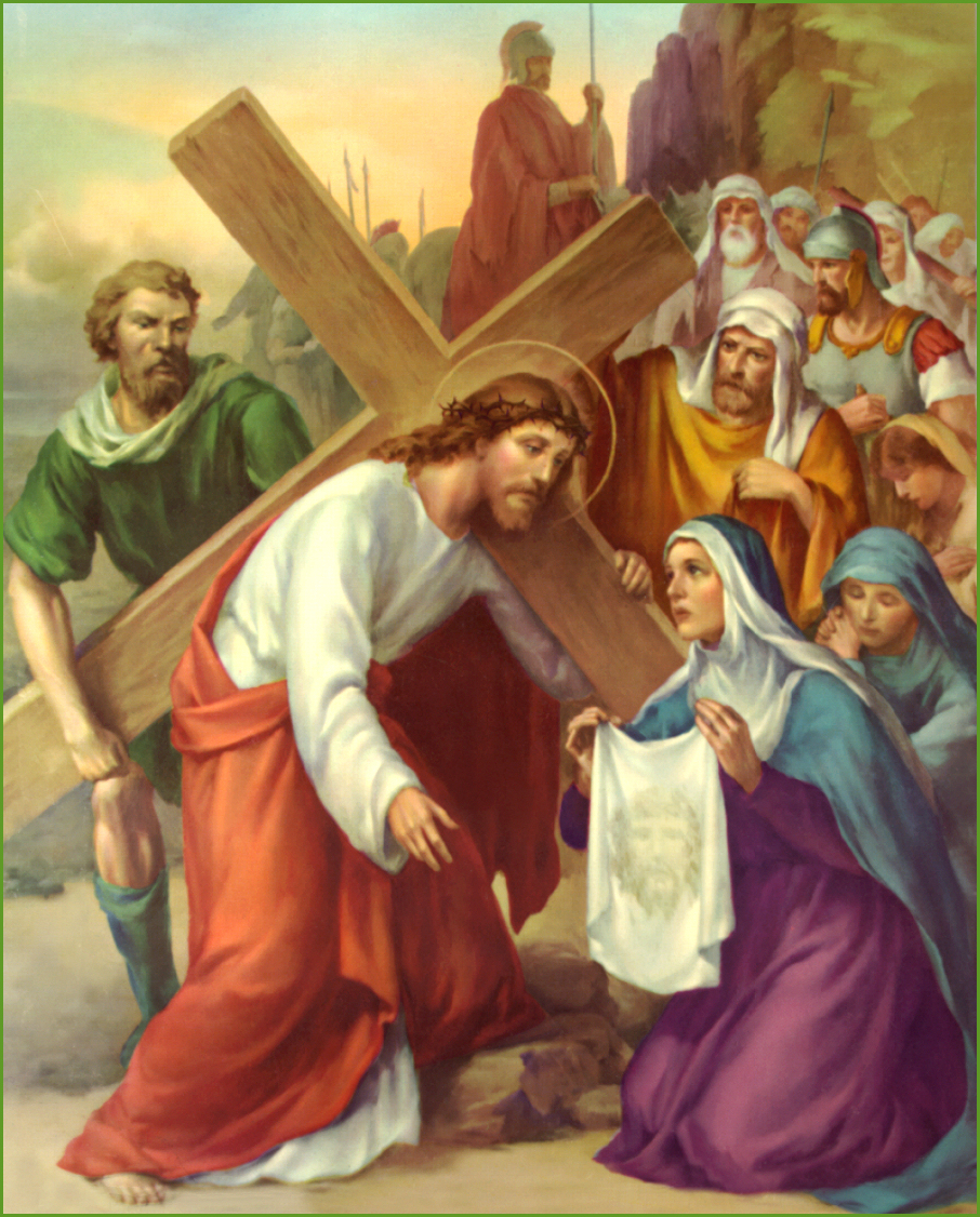 Image 6