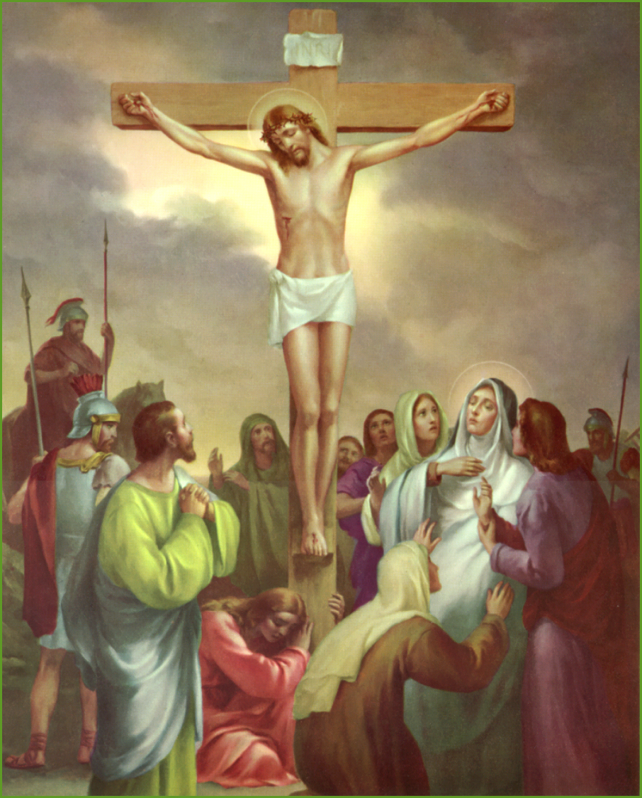 Image 12
